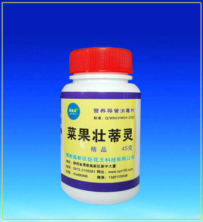 菜果1.jpg 菜果1.jpg